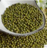 Mung Beans for sale